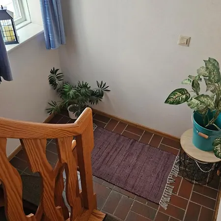 Lehmann Wolfenbüttel